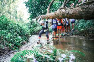 BIB: 
                            <button type="button" onclick="openModal(25465606)" class="btn btn-primary btn-sm float-right btn-popup" data-toggle="modal" data-target=".modal-high-quality">
                        <i class="fas fa-shopping-cart"></i> Add to Cart
                    </button>
                                            <button type="button" onclick="isThisMe(25465606, true)" class="btn btn-success btn-sm float-right btn-popup btn-isme hidden" data-toggle="tooltip" data-placement="bottom" title="นี่คือรูปของคุณใช่ไหม คลิกที่นี่เพื่อเอาเข้าอัลบั้ม">
                        <i class="fas fa-plus"></i> Add to album
                    </button>
                    <button type="button" onclick="isThisMe(25465606, false)" class="btn btn-warning btn-sm float-right btn-popup btn-isnotme hidden">
                        <i class="fas fa-ban"></i> Remove from album
                    </button>